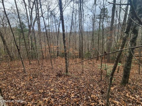 Tiny photo for Vann Rd, Harriman, TN 37748 (MLS # 1325088)