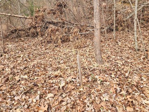 Tiny photo for Vann Rd, Harriman, TN 37748 (MLS # 1325088)