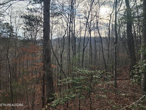 Tiny photo for Vann Rd, Harriman, TN 37748 (MLS # 1325088)