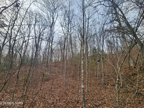 Tiny photo for Vann Rd, Harriman, TN 37748 (MLS # 1325088)