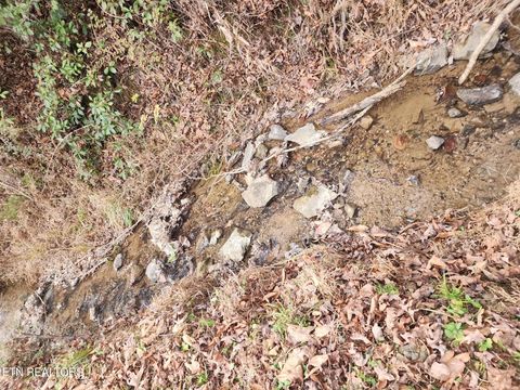 Tiny photo for Vann Rd, Harriman, TN 37748 (MLS # 1325088)