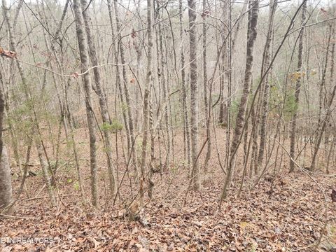 Tiny photo for Vann Rd, Harriman, TN 37748 (MLS # 1325088)