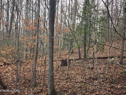 Tiny photo for Vann Rd, Harriman, TN 37748 (MLS # 1325088)
