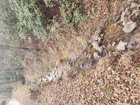 Tiny photo for Vann Rd, Harriman, TN 37748 (MLS # 1325088)