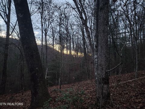 Tiny photo for Vann Rd, Harriman, TN 37748 (MLS # 1325088)