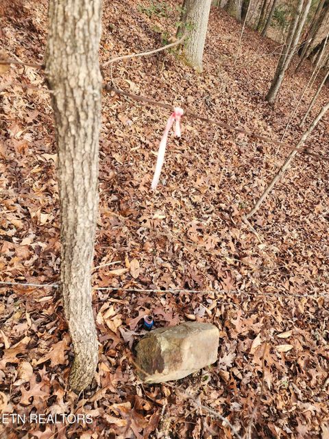 Tiny photo for Vann Rd, Harriman, TN 37748 (MLS # 1325088)