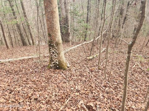 Tiny photo for Vann Rd, Harriman, TN 37748 (MLS # 1325088)