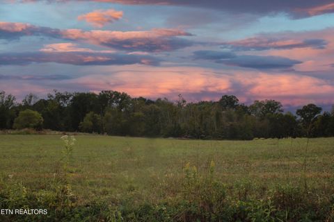 Tiny photo for 2497 Mt Carmel Rd, Decatur, TN 37322 (MLS # 1322232)