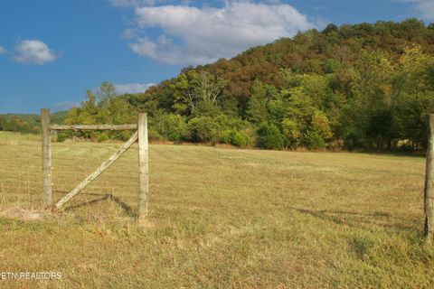 Tiny photo for 2497 Mt Carmel Rd, Decatur, TN 37322 (MLS # 1322232)