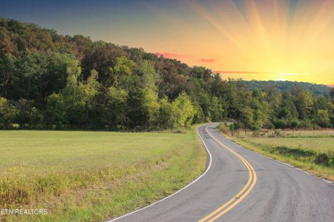 Tiny photo for 2497 Mt Carmel Rd, Decatur, TN 37322 (MLS # 1322232)