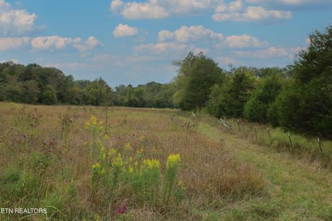 Tiny photo for 2497 Mt Carmel Rd, Decatur, TN 37322 (MLS # 1322232)