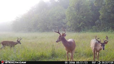 Tiny photo for 2497 Mt Carmel Rd, Decatur, TN 37322 (MLS # 1322232)