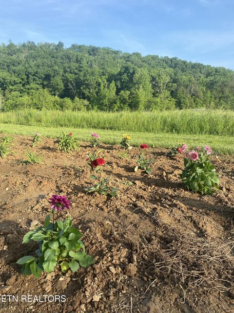 Tiny photo for 2497 Mt Carmel Rd, Decatur, TN 37322 (MLS # 1322232)