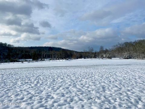 Tiny photo for 2497 Mt Carmel Rd, Decatur, TN 37322 (MLS # 1322232)