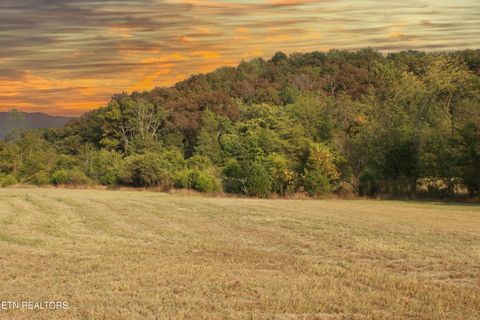 Tiny photo for 2497 Mt Carmel Rd, Decatur, TN 37322 (MLS # 1322232)