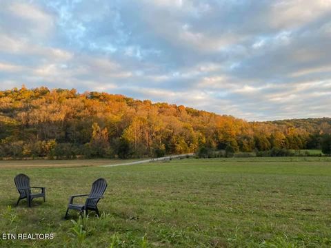 Tiny photo for 2497 Mt Carmel Rd, Decatur, TN 37322 (MLS # 1322232)