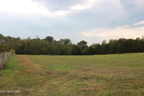 Tiny photo for 2497 Mt Carmel Rd, Decatur, TN 37322 (MLS # 1322232)