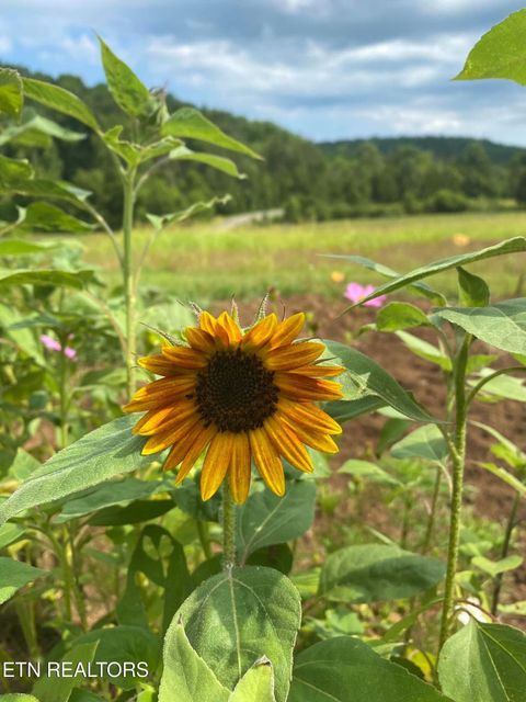 Tiny photo for 2497 Mt Carmel Rd, Decatur, TN 37322 (MLS # 1322232)