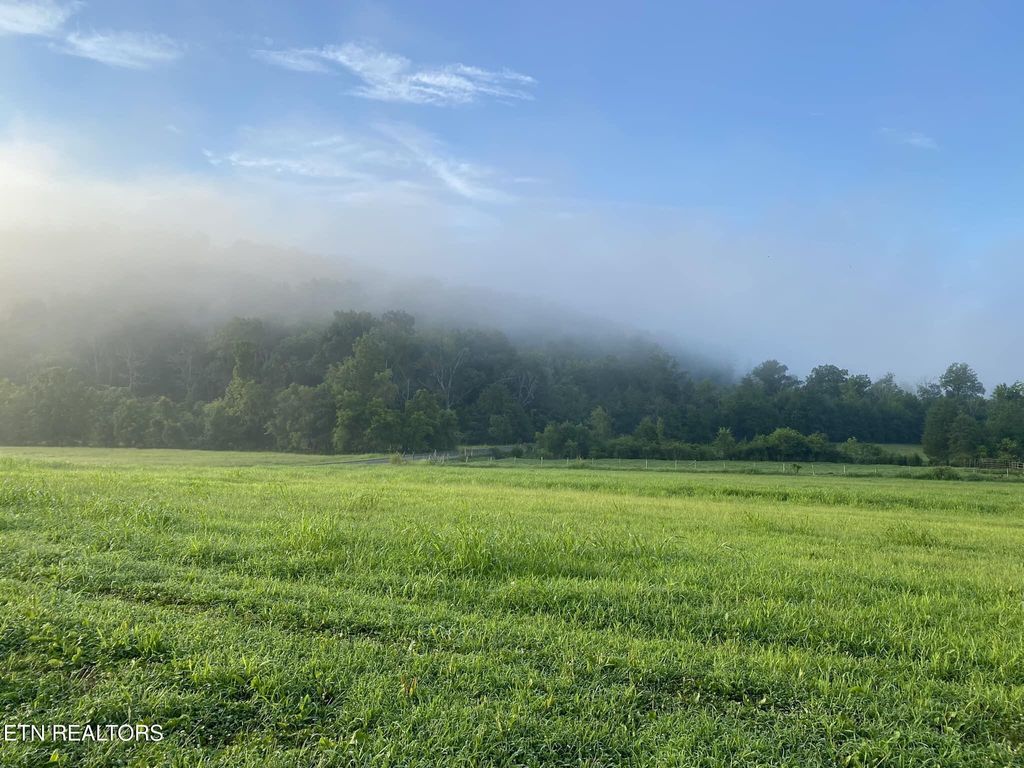 Photo of 2497 Mt Carmel Rd, Decatur, TN 37322 (MLS # 1322232)