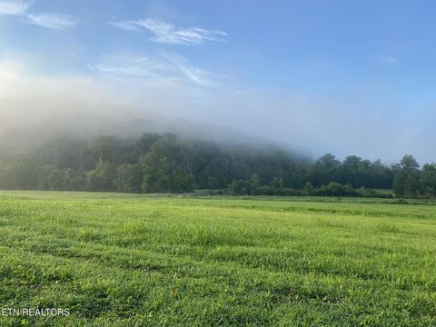 Tiny photo for 2497 Mt Carmel Rd, Decatur, TN 37322 (MLS # 1322232)