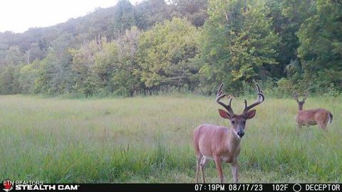 Tiny photo for 2497 Mt Carmel Rd, Decatur, TN 37322 (MLS # 1322232)