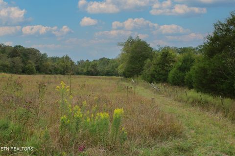 Tiny photo for 2497 Mt Carmel Rd, Decatur, TN 37322 (MLS # 1322232)