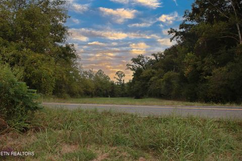 Tiny photo for 2497 Mt Carmel Rd, Decatur, TN 37322 (MLS # 1322232)