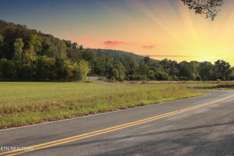 Tiny photo for 2497 Mt Carmel Rd, Decatur, TN 37322 (MLS # 1322232)