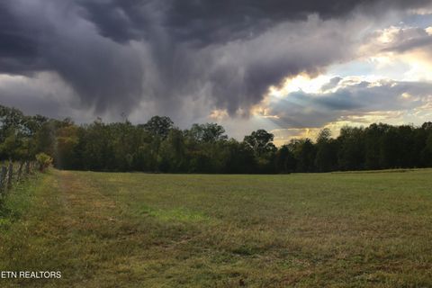 Tiny photo for 2497 Mt Carmel Rd, Decatur, TN 37322 (MLS # 1322232)