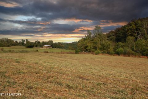 Tiny photo for 2497 Mt Carmel Rd, Decatur, TN 37322 (MLS # 1322232)