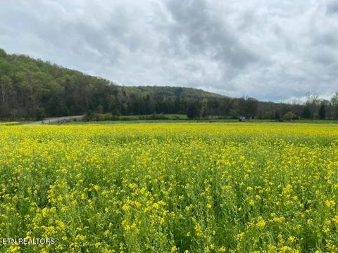 Tiny photo for 2497 Mt Carmel Rd, Decatur, TN 37322 (MLS # 1322232)