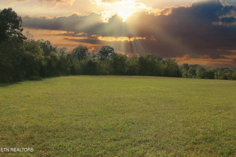 Tiny photo for 2497 Mt Carmel Rd, Decatur, TN 37322 (MLS # 1322232)