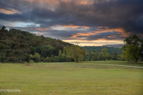 Tiny photo for 2497 Mt Carmel Rd, Decatur, TN 37322 (MLS # 1322232)