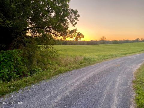 Tiny photo for 2497 Mt Carmel Rd, Decatur, TN 37322 (MLS # 1322232)