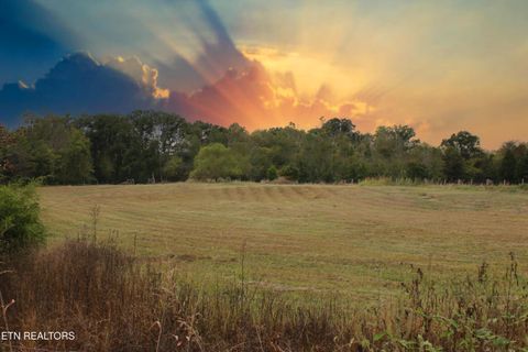 Photo of 2497 Mt Carmel Rd, Decatur, TN 37322 (MLS # 1322232)