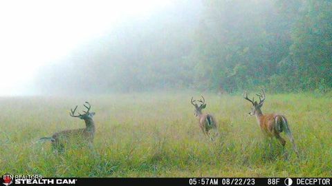 Tiny photo for 2497 Mt Carmel Rd, Decatur, TN 37322 (MLS # 1322232)