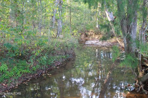 Tiny photo for 2497 Mt Carmel Rd, Decatur, TN 37322 (MLS # 1322232)