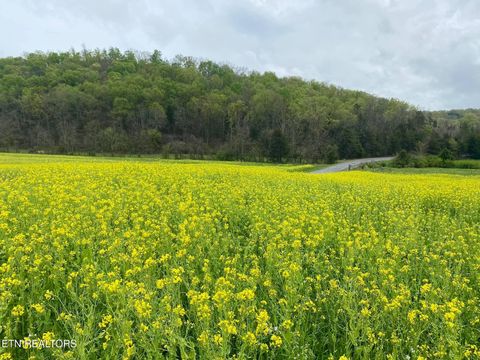 Tiny photo for 2497 Mt Carmel Rd, Decatur, TN 37322 (MLS # 1322232)