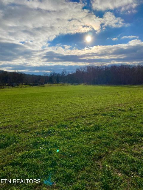 Tiny photo for 2497 Mt Carmel Rd, Decatur, TN 37322 (MLS # 1322232)