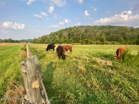 Tiny photo for 2497 Mt Carmel Rd, Decatur, TN 37322 (MLS # 1322232)