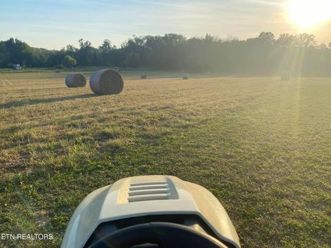 Tiny photo for 2497 Mt Carmel Rd, Decatur, TN 37322 (MLS # 1322232)