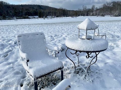 Tiny photo for 2497 Mt Carmel Rd, Decatur, TN 37322 (MLS # 1322232)