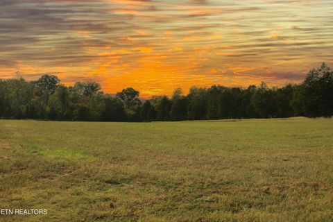 Tiny photo for 2497 Mt Carmel Rd, Decatur, TN 37322 (MLS # 1322232)