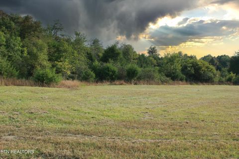 Tiny photo for 2497 Mt Carmel Rd, Decatur, TN 37322 (MLS # 1322232)