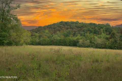 Tiny photo for 2497 Mt Carmel Rd, Decatur, TN 37322 (MLS # 1322232)