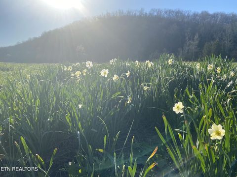 Tiny photo for 2497 Mt Carmel Rd, Decatur, TN 37322 (MLS # 1322232)