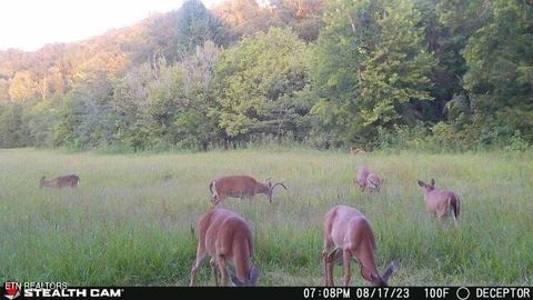 Tiny photo for 2497 Mt Carmel Rd, Decatur, TN 37322 (MLS # 1322232)