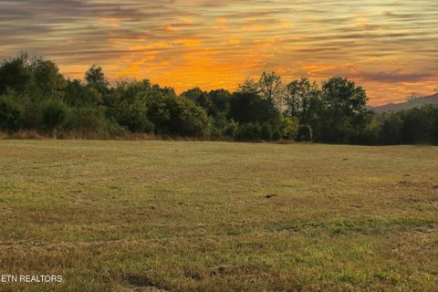 Tiny photo for 2497 Mt Carmel Rd, Decatur, TN 37322 (MLS # 1322232)