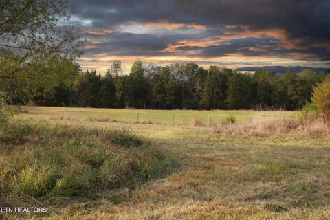 Tiny photo for 2497 Mt Carmel Rd, Decatur, TN 37322 (MLS # 1322232)