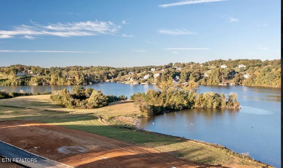 419 Arcadia Peninsula Way